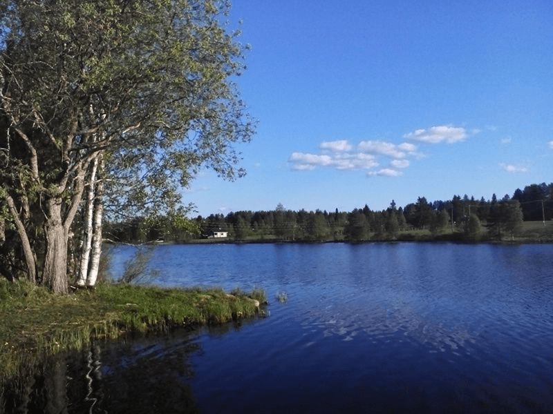 Järvinäkymä Kuukasjärveltä Porilan kukkulan rannasta.