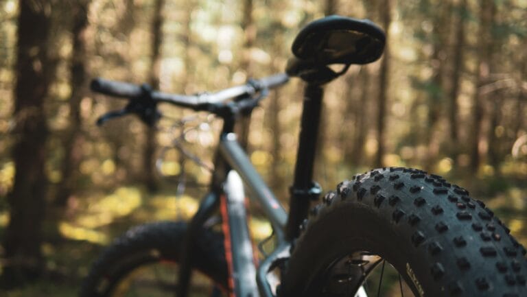 fatbike metsässä