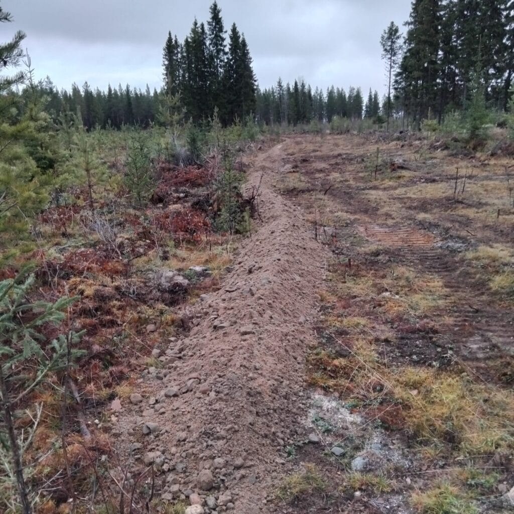 Soraa Honkivaaran monikäyttöreitillä.