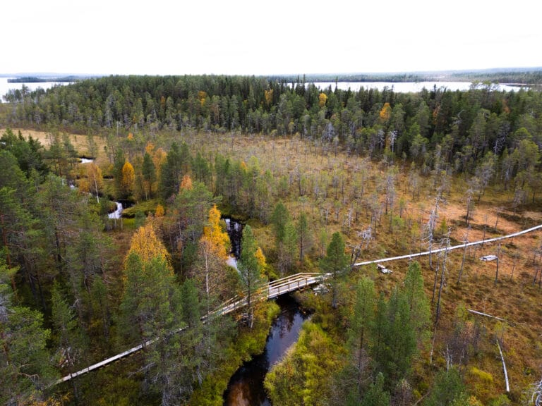 Simojärven retkeilyreitti Korvajokisuu