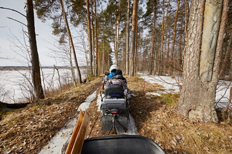 moottorikelkka ja reki lumettomassa metsässä.
