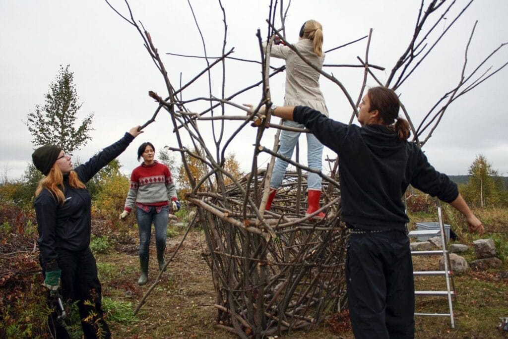 Tule seuraamaan: pajuveistos syntyy Hillatorille toukokuussa