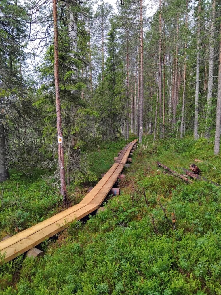 Yli-Soppanajärven keittokatoksella ei ole polttopuita